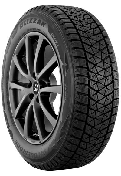 Bridgestone Blizzak DM-V2